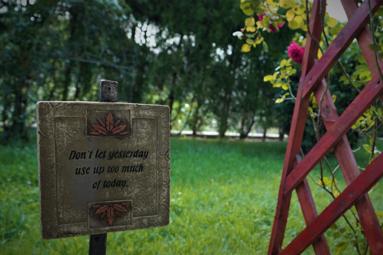 Indeep Club Hotell Cumpăna Exteriör bild